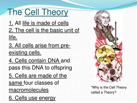 What Are The Basic Principles Of The Cell Theory at Alyssa Coode blog