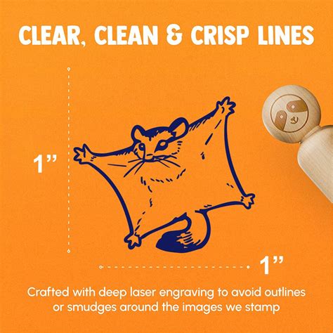 Sugar Glider Cute Flying Possum Rubber Stamp for Stamping Crafting ...