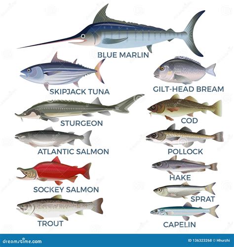 Different Types Of Fish With Names