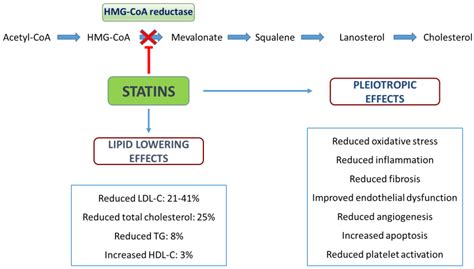 Statins in Children, an Update