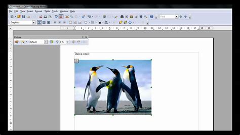Image result for OpenOffice Interface
