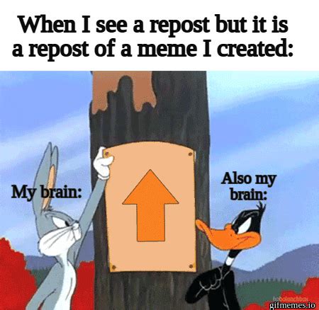 Image result for Confusing Memes Explained