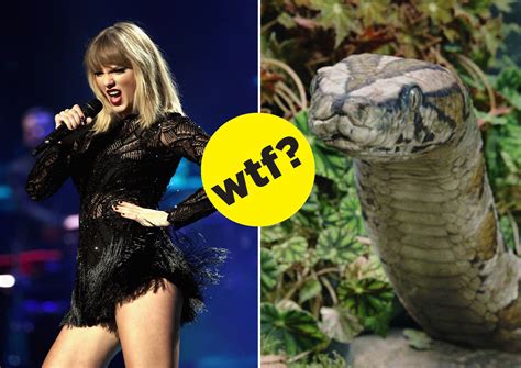 The Ultimate Betrayal: A Father Calls Taylor Swift a ‘Snake,’ and His ...