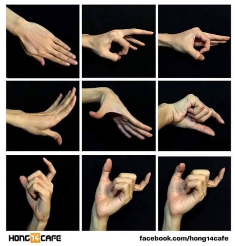 Image result for Hand Reference Drawing Tips