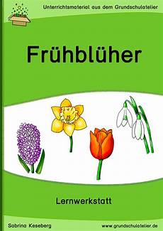 kinder malvorlagen narzisse fr 252 hbl 252 werkstatt grundschule fr 252 hbl 252 grundschule kinder malvorlagen narzisse fr 252 hbl 252 werkstatt grundschule fr 252 hbl 252 grundschule