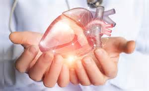 दिमाग से जुड़ा है ब्रोकन हार्ट सिंड्रोम का इलाज, स्टडी में हुआ खुलासा ...