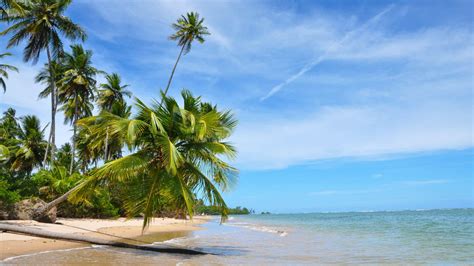 Image result for Computer Programmer Get Well Message