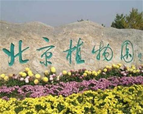 【北京植物园1摄影图片】北京植物园风光摄影_太平洋电脑网摄影部落