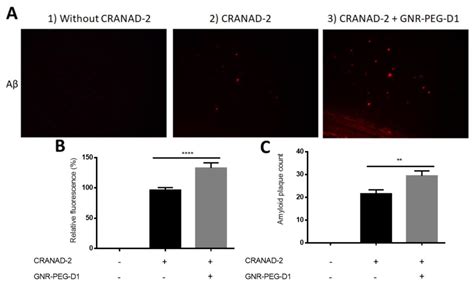 Gold Nanoparticles Mediate Improved Detection of β-amyloid Aggregates ...