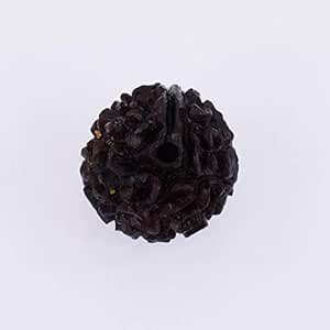 The Gallery Of Gemstones 1 Face | 1 Mukhi Nepal Natural GOL Dana ...