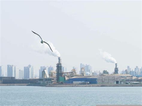 The East Mediterranean gas basin | Meer