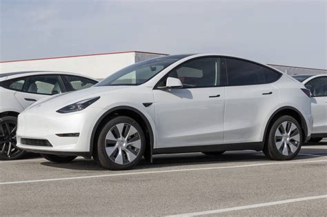 Image result for Tesla Model Y Problems