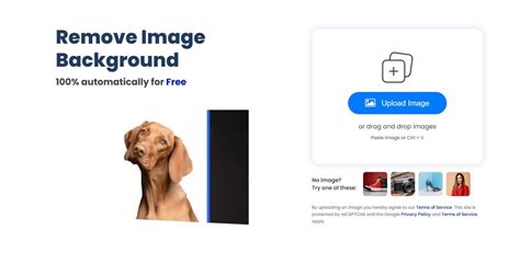 以图搜图 Ai 的图像结果
