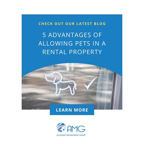 Pet-friendly rentals: Top 5 Benefits | Allegiant Management Group ...