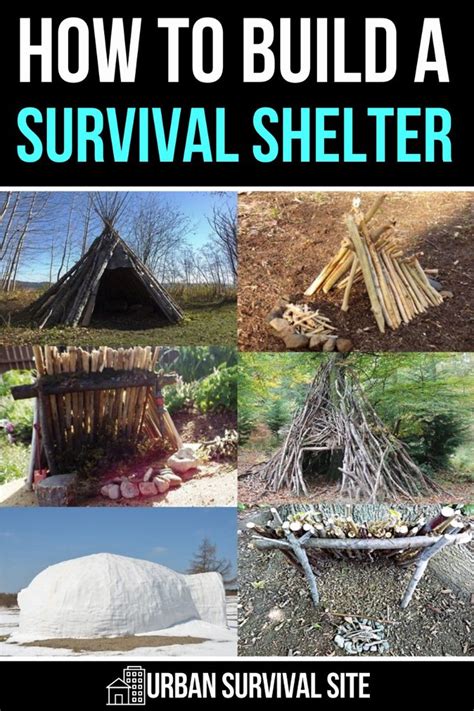 Image result for Different Types of Survival Shelters