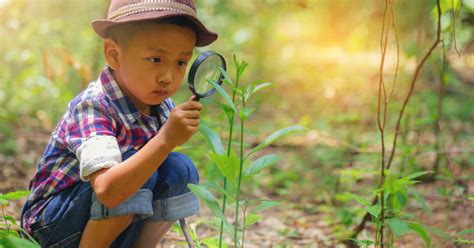 Image result for Math Nature