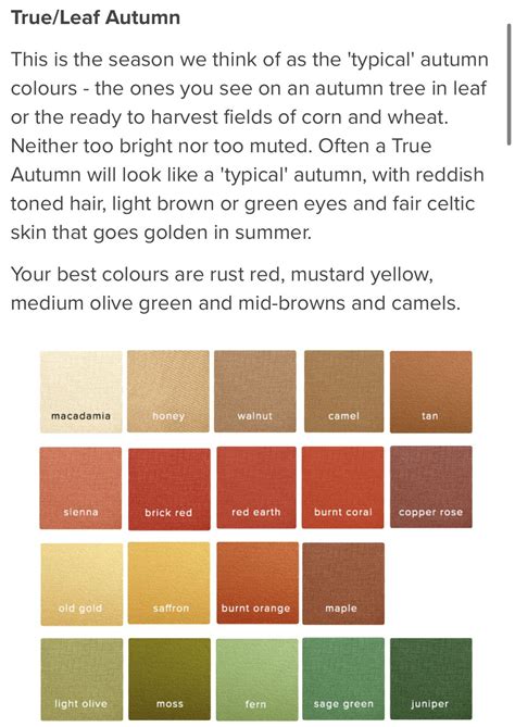 Guide to the true autumn seasonal color palette – Artofit