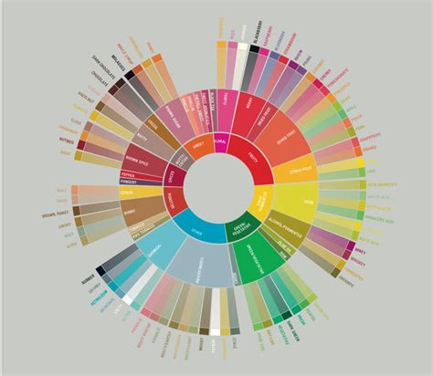 How To Use The Coffee Taster's Flavour Wheel – Tulum Coffee