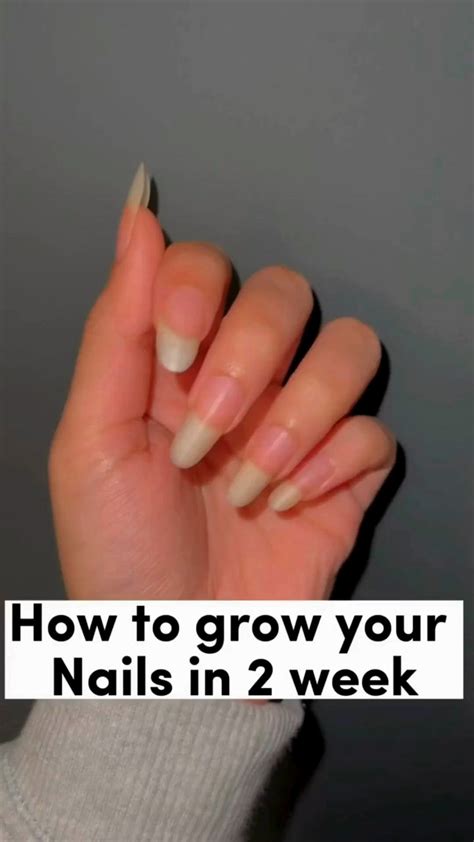 Pin by official_Ellish on Pins by you | Nail growth tips, How to grow nails, Nail growth