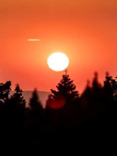 Download wallpaper 240x320 trees, full moon, night, silhouettes old ...