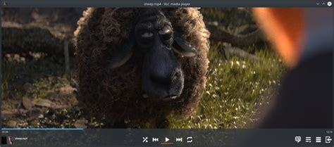 VLC Library 的图像结果
