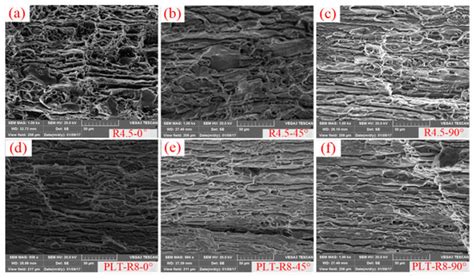 A Novel Damage Model to Predict Ductile Fracture Behavior for ...
