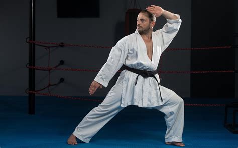 Karate 的图像结果