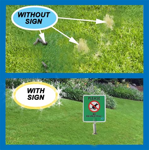 Buy No Poop Dog Yard Sign (PLEASE BE RESPECTFUL) Online at Lowest Price ...