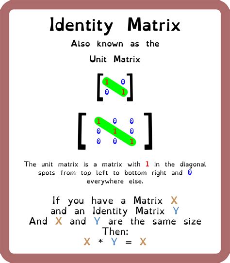 Image result for Identity Matrix Transpose