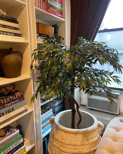 Image result for Fake Tree File Directory