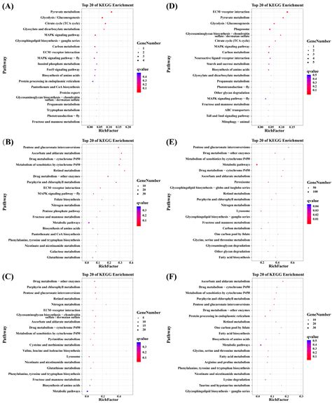 Effects of Different Salinity Stress on the Transcriptomic Responses of ...