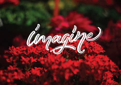 Multimedia Lettering Design 的图像结果