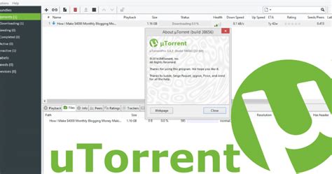 Image result for BitTorrent Installation Guide