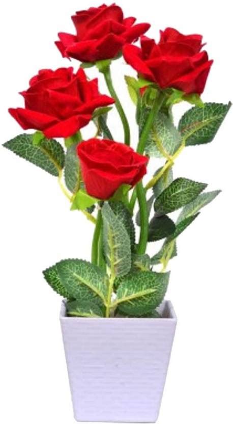 Naturo Bonsai Imported Red Rose Plant Seed Price in India - Buy Naturo ...