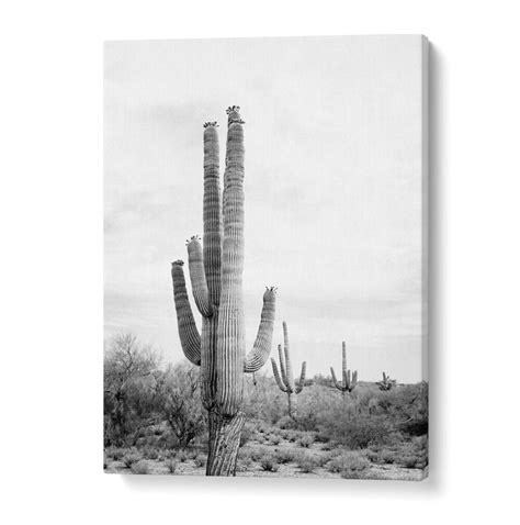 SAGUARO BAW , BEACH PAINTINGS – Asianmonk