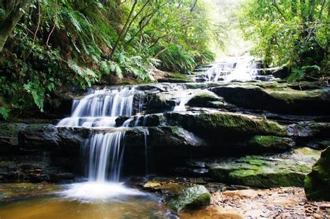 2024 (Campsie) Magic Sydney Tour with Magician and Comedian