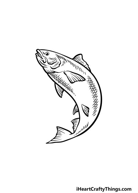 How to Draw a Salmon Fish Step-by-Step