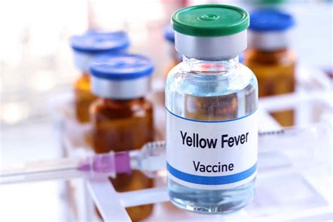 How Much Does the Yellow Fever Vaccine Cost? (2026)