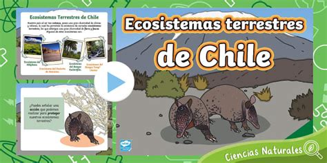Ecosistemas de Chile | Teaching Wiki | Twinkl - Twinkl