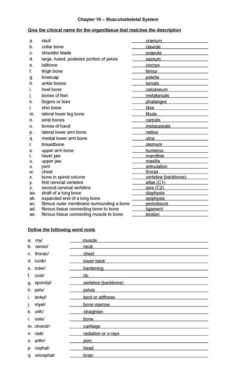 Image result for Musculoskeletal System Word