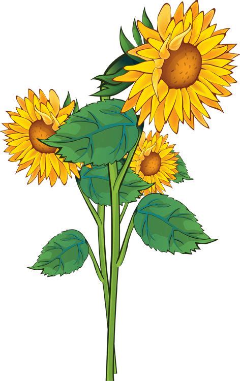 july flower clip art