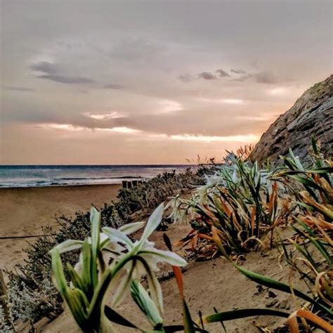Los paisajes marítimos de Port Ginesta