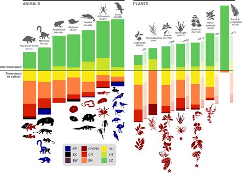 Madagascar’s extraordinary biodiversity: Threats and opportunities | Science