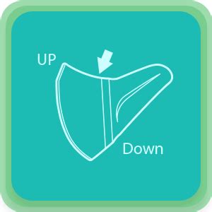 PolluGuard 8510402STD Large Size Adult Mask - 10 Count : Amazon.in ...