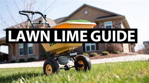 How to Apply Lime to Lawn in North Georgia