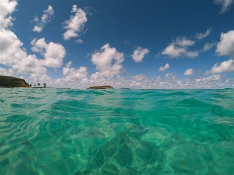 Protection of Ecosystem 的图像结果