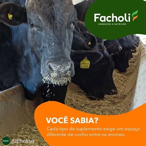 Agro Eldorado® | Para garantir excelentes resultados com a ...