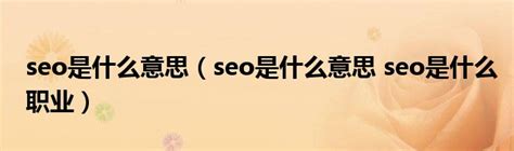 seo是什么意思（seo是什么意思 seo是什么职业）_拉美贸易经济网