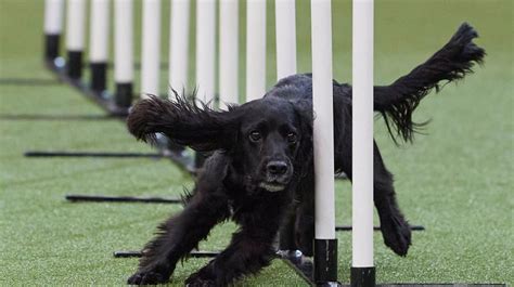 Channel 4 News Episodes 的图像结果