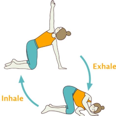 Image result for Thread the Needle Exercise